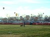 Buses by the Bridge 2014 084.jpg